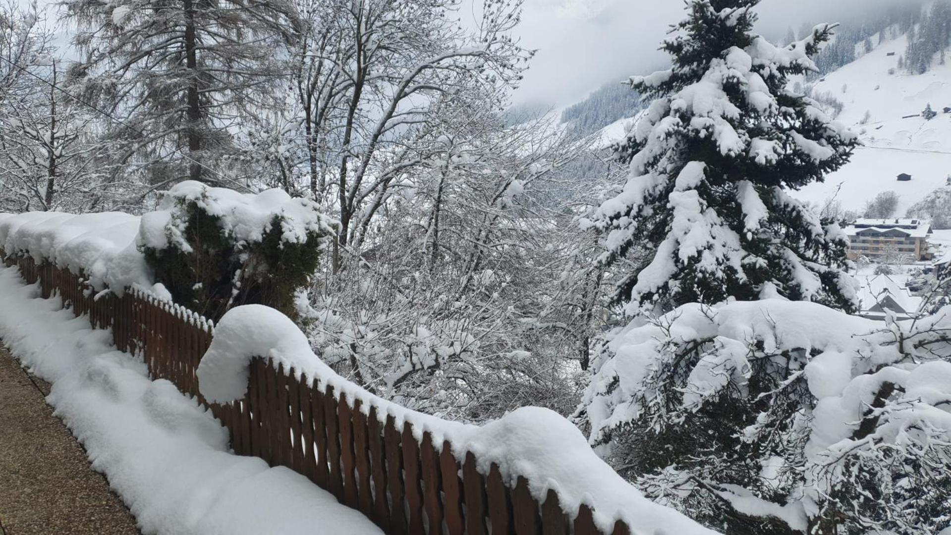 Pension Terra Neustift im Stubaital Exterior photo